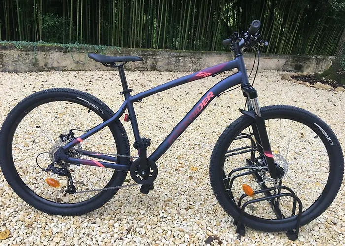 La Tuilerie Grange (adults Only) Feriehus Le Bugue